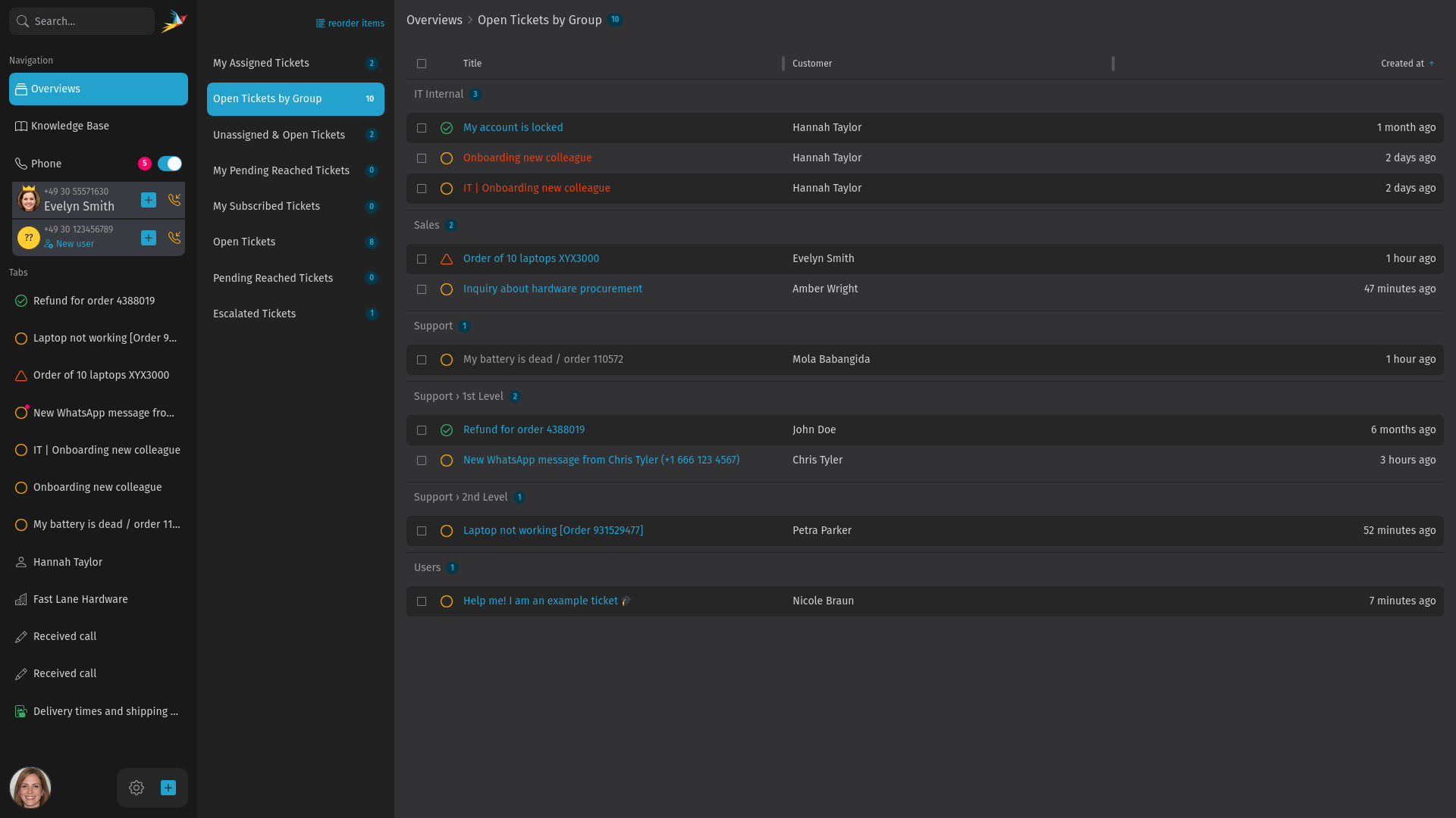 Screenshot shows opened overview section