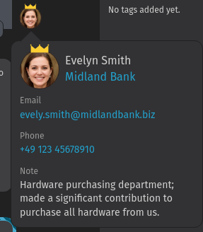 Screenshot shows an avatar with opened user detail
panel