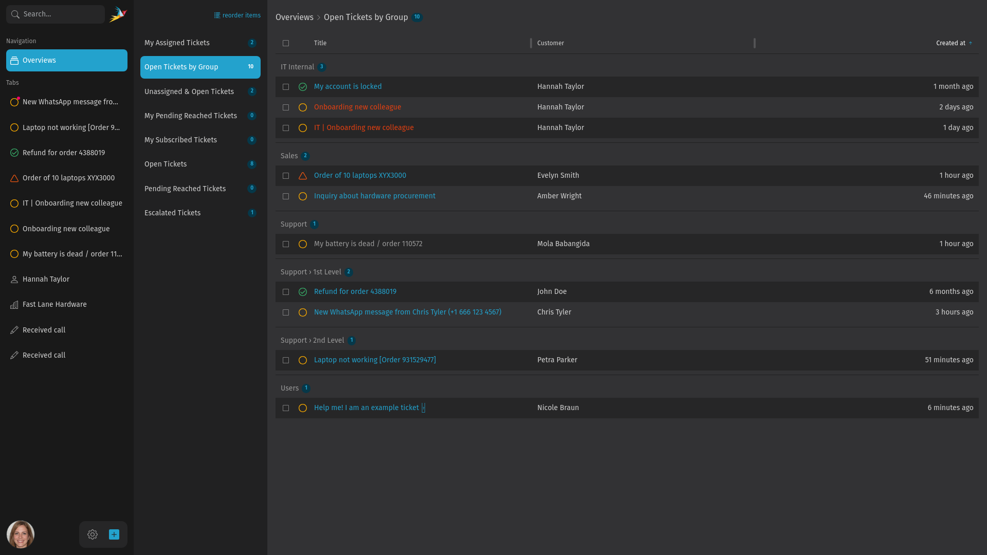Screenshot shows opened overview section