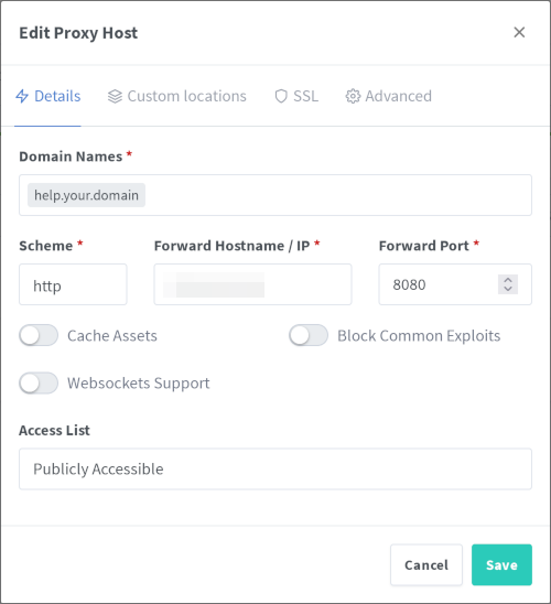 Screenshot shows NPM configuration dialog with details tab